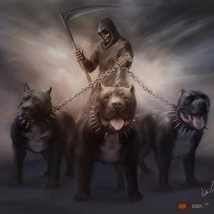 Meet your Posher, Manuel